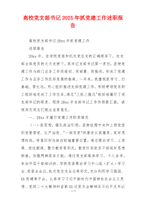 高校党支部书记2025年抓党建工作述职报告