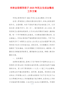 市林业局领导班子2025年民主生活会整改工作方案