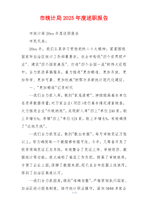 市统计局2025年度述职报告
