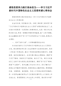 感悟思想伟力践行使命担当——学习习近平新时代中国特色社会主义思想有感心得体会
