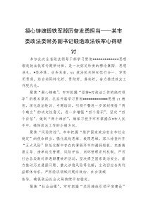 市委政法委常务副书记锻造政法铁军心得研讨