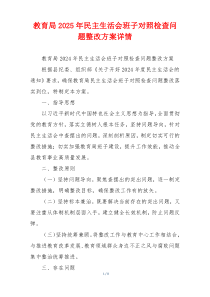 教育局2025年民主生活会班子对照检查问题整改方案详情