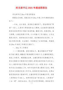 村支部书记2025年度述职报告