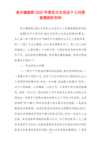 某乡镇副职2025年度民主生活会个人对照查摆剖析材料