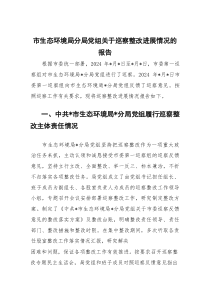 市生态环境局分局党组关于巡察整改进展情况的报告