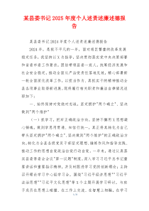 某县委书记2025年度个人述责述廉述德报告