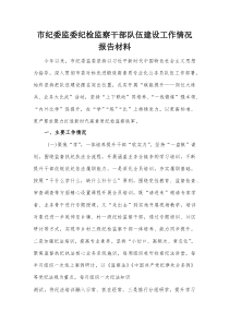 市纪委监委纪检监察干部队伍建设工作情况报告材料