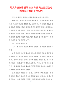 某某乡镇分管领导2025年度民主生活会对照检查材料四个带头例