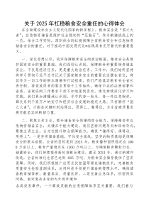 心得体会：2025年扛稳粮食安全重任