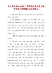 牛兆英同志在全省化工和危险化学品企业集中检查工作视频会议后的讲话