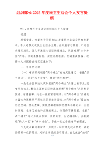 组织部长2025年度民主生活会个人发言提纲