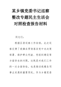 某乡镇党委书记巡察整改专题民主生活会对照检查报告材料