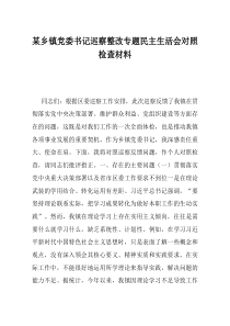 某乡镇党委书记巡察整改专题民主生活会对照检查材料