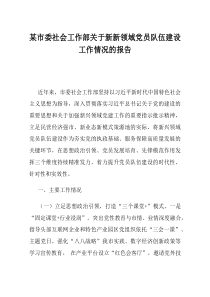 某市委社会工作部关于新新领域党员队伍建设工作情况的报告