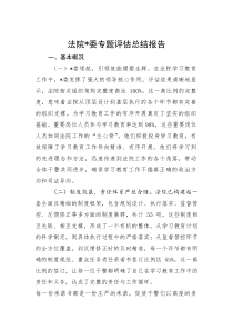 法院党委专题评估总结报告