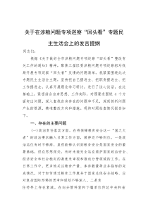 涉粮问题专项巡察“回头看”专题民主生活会个人对照检查发言提纲