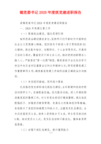 镇党委书记2025年度抓党建述职报告