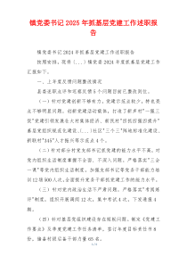 镇党委书记2025年抓基层党建工作述职报告