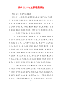 镇长2025年述职述廉报告