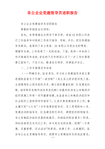 非公企业党建指导员述职报告