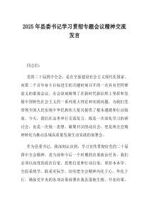 2025年县委书记学习贯彻专题会议精神交流发言