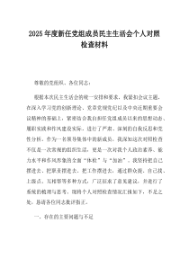 2025年度新任党组成员民主生活会个人对照检查材料