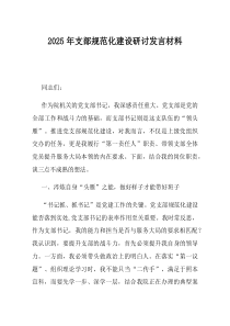 2025年支部规范化建设研讨发言材料