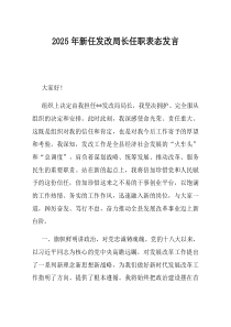 2025年新任发改局长任职表态发言