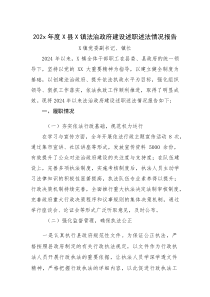 202x年度X县X镇法治政府建设述职述法情况报告