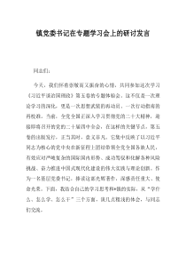 镇党委书记在专题学习会上的研讨发言