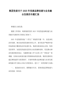 集团党委关于2025年党建品牌创建与业务融合发展的专题汇报