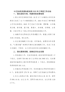 XX区自然资源和规划局2025年三季度工作总结