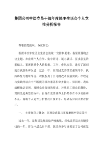 集团公司中层党员干部年度民主生活会个人党性分析报告