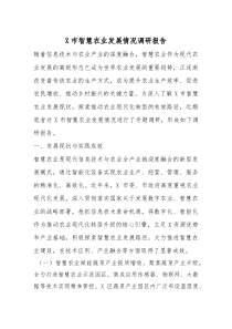 X市智慧农业发展情况调研报告