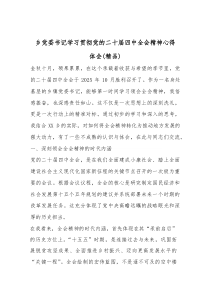 乡党委书记学习贯彻党的二十届四中全会精神心得体会（参考）