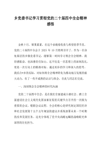 乡党委书记学习贯彻党的二十届四中全会精神感悟