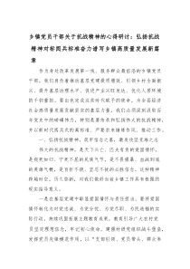 乡镇党员干部关于抗战精神的心得研讨：弘扬抗战精神 对标阅兵标准 奋力谱写乡镇高质量发展新篇章