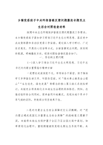 乡镇党委班子中央环保督察反馈问题整改专题民主生活会对照检查材料_