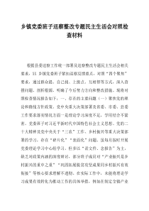 乡镇党委班子巡察整改专题民主生活会对照检查材料