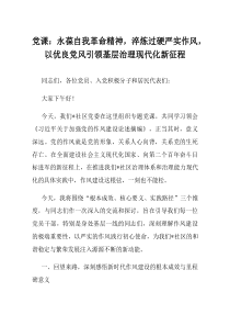 党课永葆自我革命精神淬炼过硬严实作风以优良党风引领基层治理现代化新征程