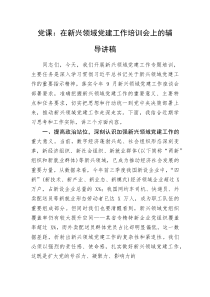 党课：在新兴领域党建工作培训会上的辅导讲稿