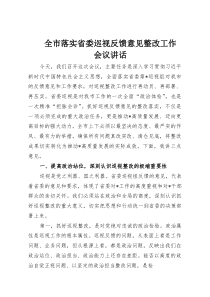全市落实省委巡视反馈意见整改工作会议讲话