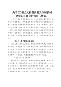 关于XX镇公文抄袭问题及体制机制建设的自查自纠报告（精品）