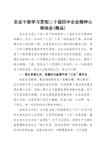 农业干部学习贯彻二十届四中全会精神心得体会（参考）