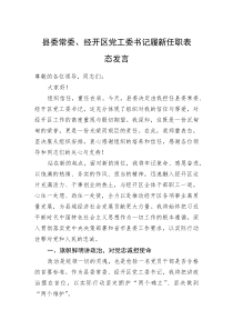 县委常委、经开区党工委书记履新任职表态发言