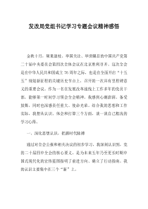 发改局党组书记学习专题会议精神感悟