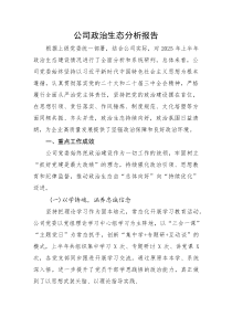 国企政治生态分析报告3600字