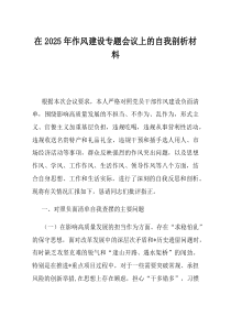 在2025年作风建设专题会议上的自我剖析材料