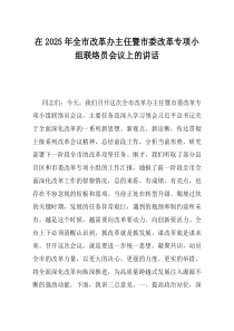 在2025年全市改革办主任暨市委改革专项小组联络员会议上的讲话