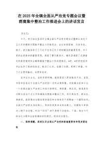 在2025年全镇全面从严治党专题会议暨群腐集中整治工作推进会上的讲话发言